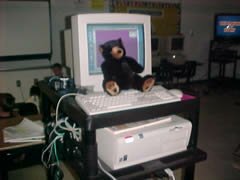 Picture of Gritzley with on the computer