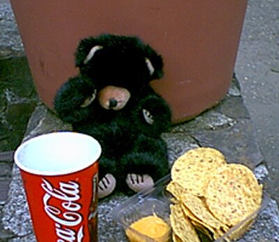 picture of Gritzley the Bear enjoying lunch
