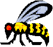 Picture of hornet- school mascot